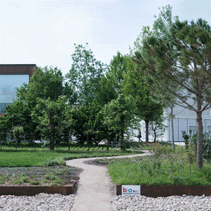 EXPO2015_PARCO_009 EXPO2015_PARCO_009