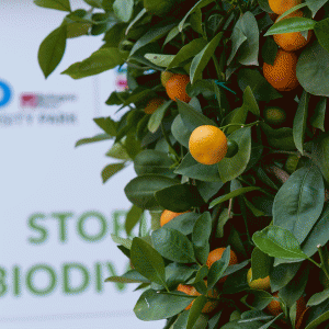 EXPO2015_PARCO_029 EXPO2015_PARCO_029