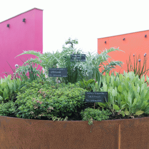 EXPO2015_PARCO_039 EXPO2015_PARCO_039