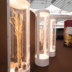 EXPO2015_PARCO_084 EXPO2015_PARCO_084