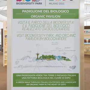 EXPO2015_PARCO_095 EXPO2015_PARCO_095