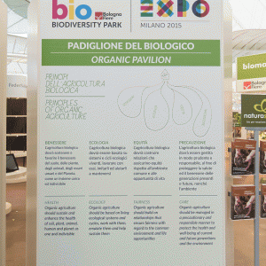 EXPO2015_PARCO_096 EXPO2015_PARCO_096