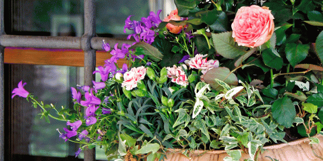 Primaverile o estiva? Scegli la tua fioriera