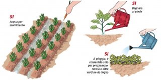 tipologie irrigazione nell'orto a scorrimento, a pioggia, bagnare a piede tipologie irrigazione nell'orto a scorrimento, a pioggia, bagnare a piede