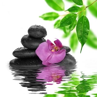 Fotolia_59405992_Subscription_OnDemand_M_PLUS Fotolia_59405992_Subscription_OnDemand_M_PLUS