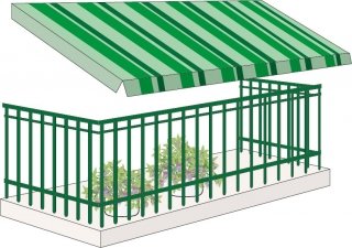 Le piante vanno sempre protette dalla luce diretta del sole. Le piante vanno sempre protette dalla luce diretta del sole.