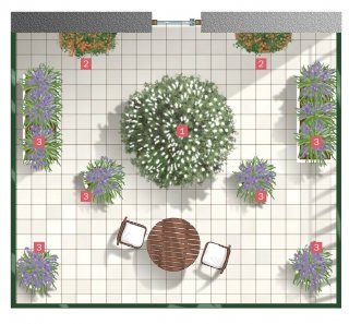 terrazzo arredato con piante di bignonia, brugmansia e agapanto a luglio terrazzo arredato con piante di bignonia, brugmansia e agapanto a luglio