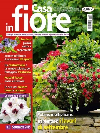 CIF09-cover CIF09-cover