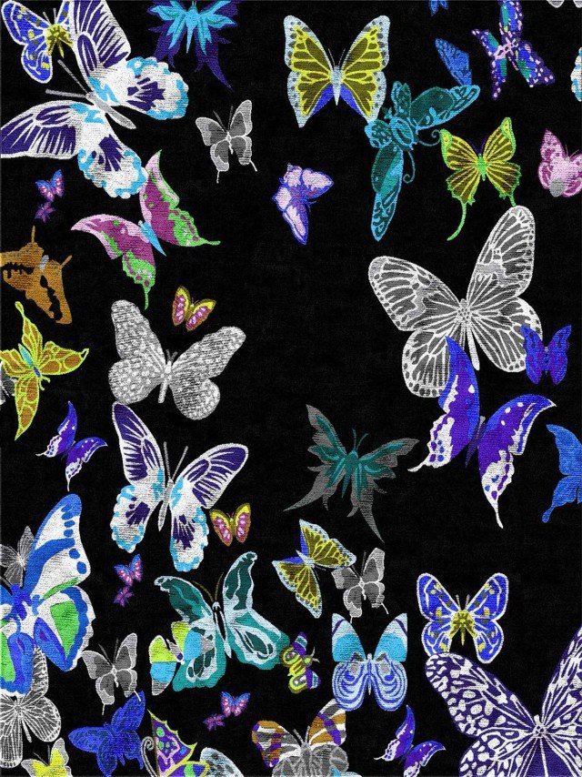 5 ILLULIANMADAMABUTTERFLY 5 ILLULIANMADAMABUTTERFLY