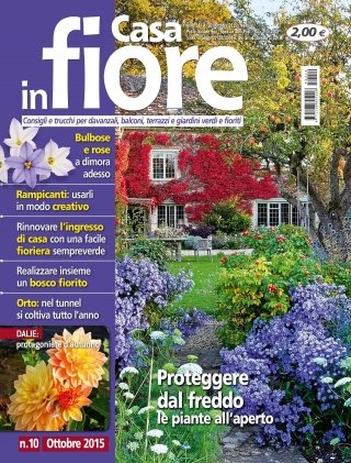 CIF10-cover CIF10-cover