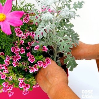 cassetta-3 cassetta-3