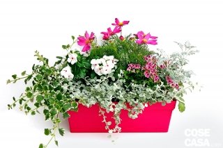 vaso fiorito vaso fiorito