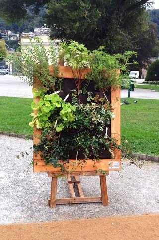 "Tavole vegetattili" di Lorenza Figari, a Villa Olmo a Como