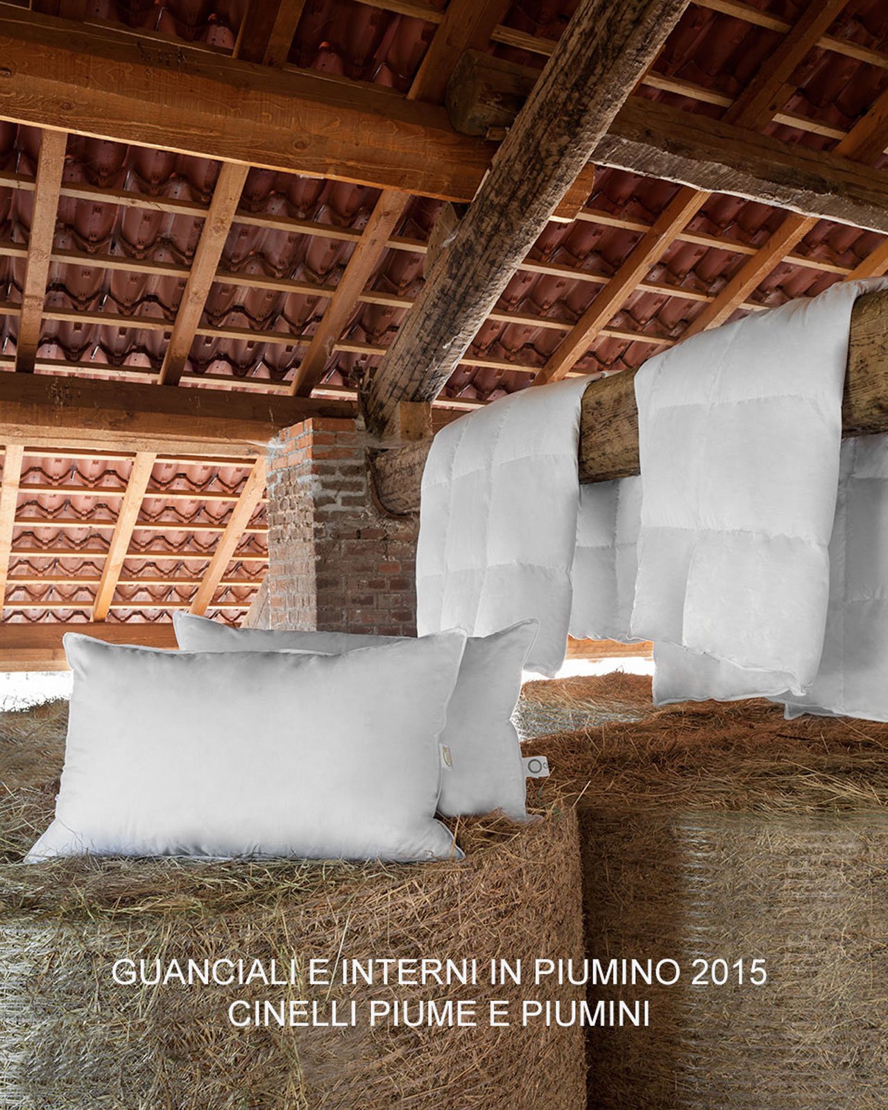 Interni-e-guanciali-2015-CINELLI-PIUME-E-PIUMINI-copia Interni-e-guanciali-2015-CINELLI-PIUME-E-PIUMINI-copia
