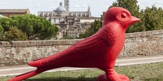Cracking Art – Rigeneramento Cracking Art – Rigeneramento