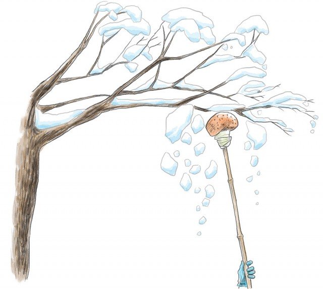 Non percuotete direttamente la neve dai rami, ma appoggiate la pertica sotto questi e iniziate a muoverli delicatamente Non percuotete direttamente la neve dai rami, ma appoggiate la pertica sotto questi e iniziate a muoverli delicatamente