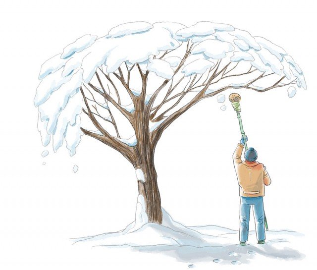 utilizzare canna bambù per togliere neve dagli alberi utilizzare canna bambù per togliere neve dagli alberi