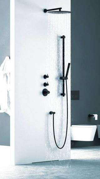 Il soffione in acciaio inox BD10430 di Guglielmi
(www.guglielmi.com) ha 108 ugelli, da cui fuoriesce il getto
a pioggia. Ha diametro di 30 cm
e portata di 15 litri/min. Finiture: cromo, nichel spazzolato, oro, bianco e nero opaco. Con braccio lungo 35 cm costa da 401 euro. Il soffione in acciaio inox BD10430 di Guglielmi
(www.guglielmi.com) ha 108 ugelli, da cui fuoriesce il getto
a pioggia. Ha diametro di 30 cm
e portata di 15 litri/min. Finiture: cromo, nichel spazzolato, oro, bianco e nero opaco. Con braccio lungo 35 cm costa da 401 euro.