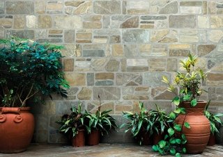 Pot with  plants in Balinese architectural style.