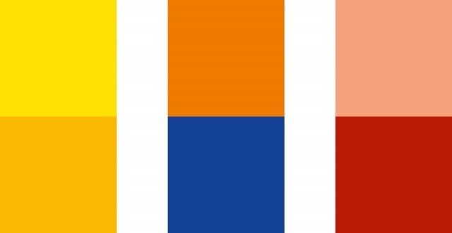 colori primule colori primule