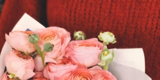 7 fiori e piante da regalare a San Valentino