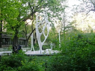 L'albero del fitness tra gli alberi dell'Orto Botanico L'albero del fitness tra gli alberi dell'Orto Botanico