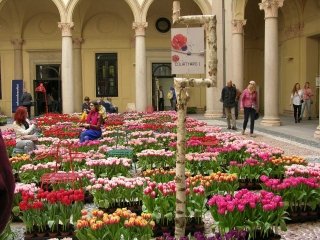 il-cortile- il-cortile-