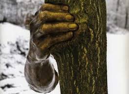Giuseppe Penone. Scultura Giuseppe Penone. Scultura
