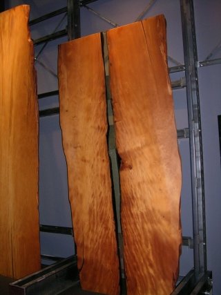 Le lastre di kauri Le lastre di kauri