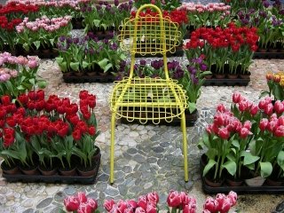 sedia-in-acciaio-colorata-della-nuova-Sketch-collection-disegnata-da-Bo-Reudler-per-JSPR sedia-in-acciaio-colorata-della-nuova-Sketch-collection-disegnata-da-Bo-Reudler-per-JSPR