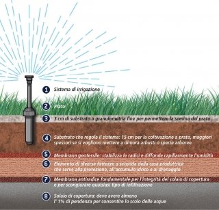 tetto giardino sistema intensivo