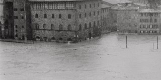 Pescare nel fango: il Museo e l’alluvione Pescare nel fango: il Museo e l’alluvione