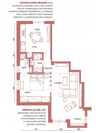 irregolarità della pianta irregolarità della pianta