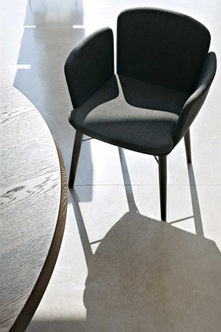 foto5_Lema---Tabby---1 foto5_Lema---Tabby---1