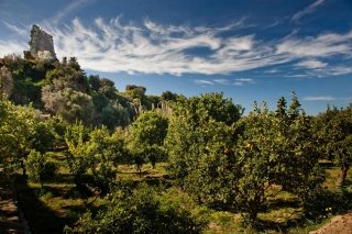 Giardino della Kolymbethra – Valle dei Templi - Agrigento Giardino della Kolymbethra – Valle dei Templi - Agrigento