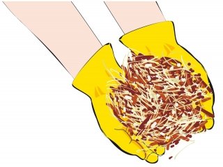 2. Anche paglia, legno tritato e altre sostanze organiche possono essere utilizzate per pacciamare.