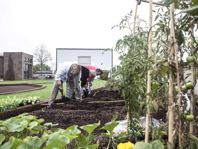“Coltiva la città” è il progetto che vede impegnate a Milano prima nell’esclusiva via Tortona e ora nel quartiere Barona, alcune pensionate che si dedicano alla cura degli orti sul tetto. Foto: Arch. Tiziana Monterisi “Coltiva la città” è il progetto che vede impegnate a Milano prima nell’esclusiva via Tortona e ora nel quartiere Barona, alcune pensionate che si dedicano alla cura degli orti sul tetto. Foto: Arch. Tiziana Monterisi