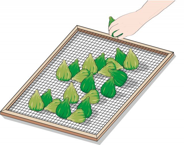 Quindi stendere i fichi su un graticcio in modo che l’aria circoli sopra e sotto, coprire i frutti con una garza (per proteggerli dagli insetti) ed esporli al sole per tutto il giorno, girandoli ogni 3 - 4 ore. Quindi stendere i fichi su un graticcio in modo che l’aria circoli sopra e sotto, coprire i frutti con una garza (per proteggerli dagli insetti) ed esporli al sole per tutto il giorno, girandoli ogni 3 - 4 ore.