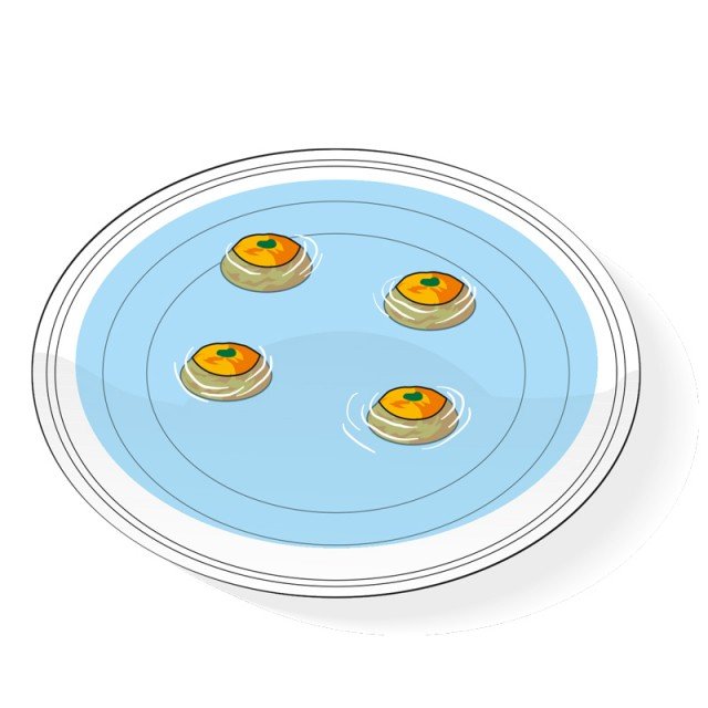 faccia sezionata rivolta verso il basso delle carote in piatto pieno d'acqua faccia sezionata rivolta verso il basso delle carote in piatto pieno d'acqua
