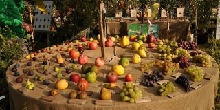 Frutti Antichi. Rassegna di piante, fiori e frutti dimenticati Frutti Antichi. Rassegna di piante, fiori e frutti dimenticati