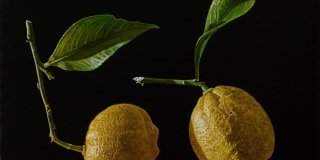 Giuseppe Carta: Germinazioni: i diari della Terra Giuseppe Carta: Germinazioni: i diari della Terra