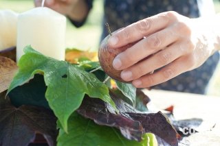 Preparare le mele, la zucca, le pannocchie e i peperoncini Preparare le mele, la zucca, le pannocchie e i peperoncini