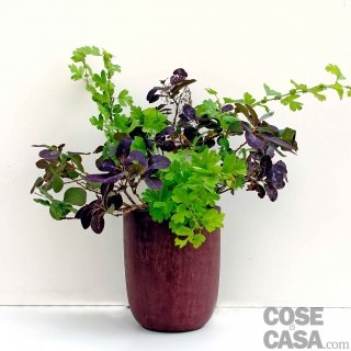 mazzo-con-potature-verde mazzo-con-potature-verde