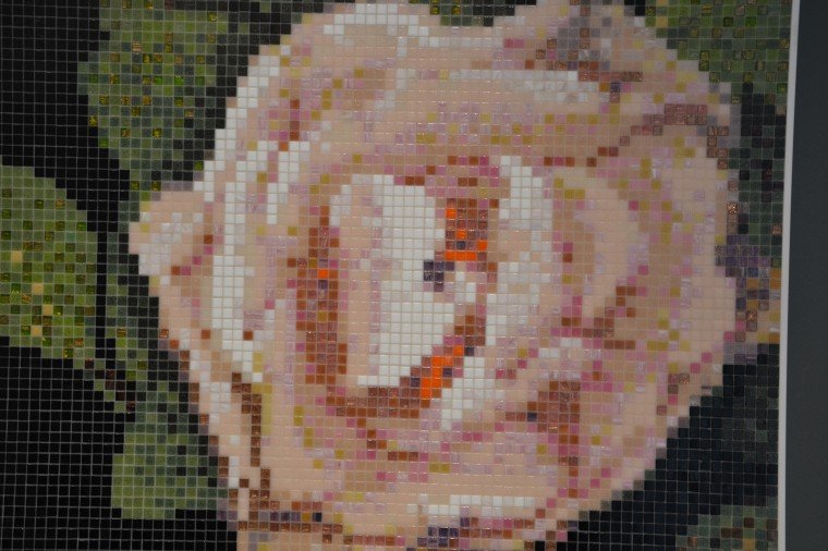 Springrose Nero di Bisazza Springrose Nero di Bisazza