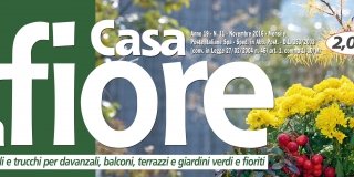 In edicola dal 25 ottobre Casa in Fiore di novembre