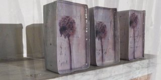 Mauro Pipani. Antropocene Mauro Pipani. Antropocene