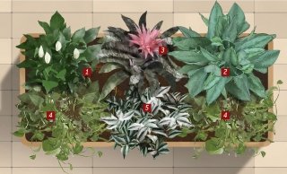 fioriera ingresso condominio piante