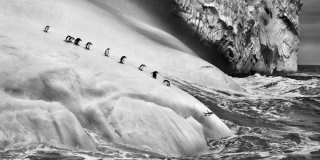 Genesi. Sebastiao Salgado Genesi. Sebastiao Salgado