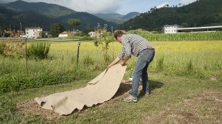 aiuolavivace didier stende il telo