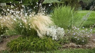 aiuolavivace modulo degas